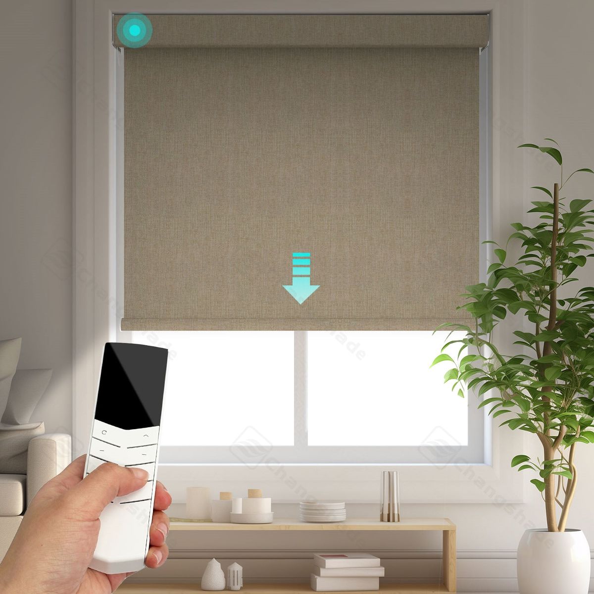 Motorized Blinds for windows